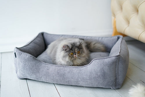 Corduroy Cat Bed Dreamer