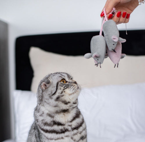 Pet Toy - Mouse Marie