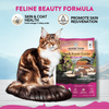 Duck Royale Dry Cat Food