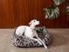 Chester & Lee | Velvet Sleeper Dog Bed Gray & Peach Leopard Print
