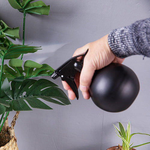 Stainless Steel Watering Watering Pot Black Gold Gardening Mini Household Sprinkler