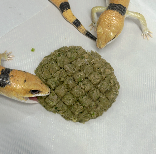 Raw, Freeze-Dried 25/25/50 Patties for Bearded Dragons and Blue Tongued Skinks