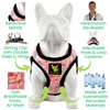 EcoBark Step In Dog Harness - XXXS to Small Breeds- Reflective Soft Mesh Harness for Teacup, Small Dogs and Puppies / French Floral