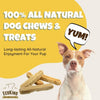 EcoKind Himalayan Yak Cheese Dog Chew | All Natural Premium Dog Treats
