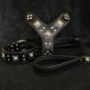 EROS BIG dog SET- Harness - collar - lead. All Black