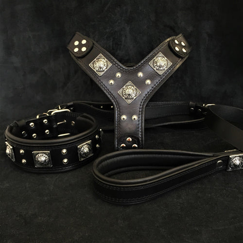 EROS BIG dog SET- Harness - collar - lead. All Black
