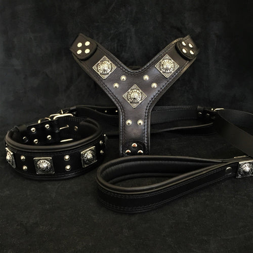 EROS BIG dog SET- Harness - collar - lead. All Black