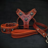 EROS BIG dog SET- Harness - collar - lead. Brown & Orange