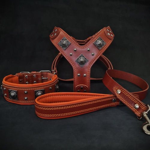EROS BIG dog SET- Harness - collar - lead. Brown & Orange