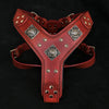 The Eros harness RED