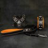 EROS Small to Medium dog SET - Harness - collar - lead Black&Orange