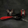 EROS Small to Medium dog SET-Harness-collar-lead Black & Red