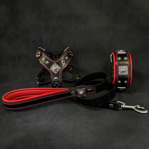 EROS Small to Medium dog SET-Harness-collar-lead Black & Red
