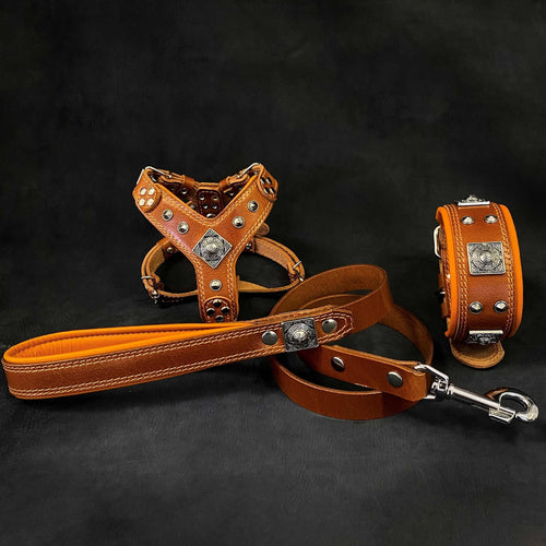 EROS Small to Medium dog SET - Harness - collar - lead. Brown