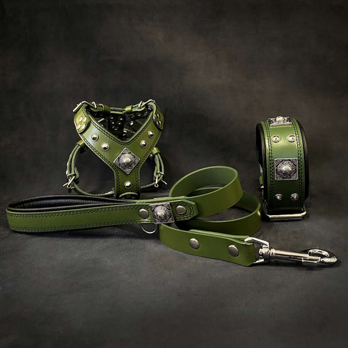 EROS Small to Medium dog SET - Harness - collar - lead. Green