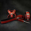 EROS Small to Medium dog SET-Harness-collar-lead Red