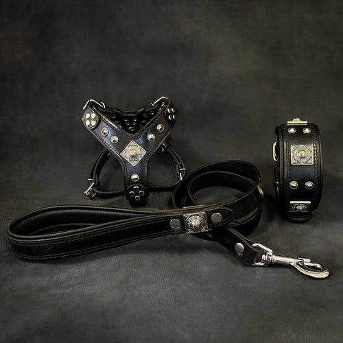 EROS Small to Medium dog SET - Harness - collar - lead. All Black