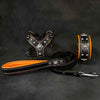 EROS Small to Medium dog SET - Harness - collar - lead Black&Orange