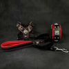 EROS Small to Medium dog SET - Harness - collar - lead Black&Red