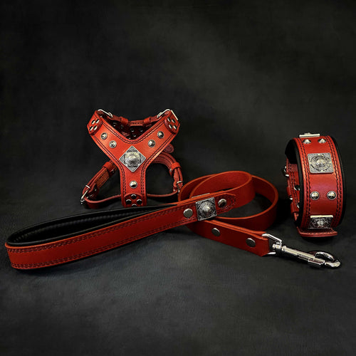 EROS Small to Medium dog SET - Harness - collar - lead. Red