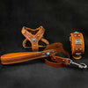 EROS Small to Medium dog SET - Harness - collar - lead. Brown