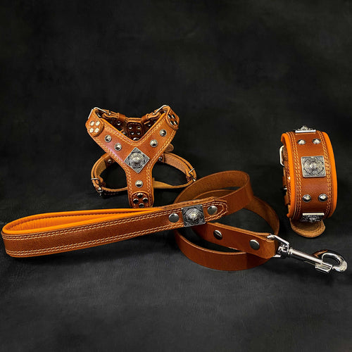 EROS Small to Medium dog SET - Harness - collar - lead. Brown