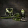 EROS Small to Medium dog SET - Harness - collar - lead. Green