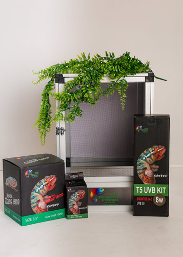 Size 12: 12x12x18 All-In-One Essential Baby Chameleon Kit