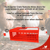 Stackable Poultry Carrier Crate (Pack of 4)