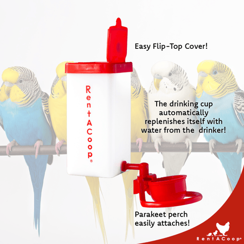 RentACoop 32 Ounce (1L) Autofill Cup Drinker with Attached Perch