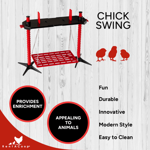 Chick Swing and Versatile Chick Feeder Waterer and Accessory Stand Set