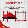 Chick Swing and Versatile Chick Feeder Waterer and Accessory Stand Set