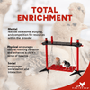 Chick Swing and Versatile Chick Feeder Waterer and Accessory Stand Set
