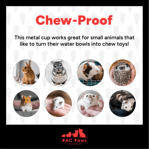RAC Paws by RentACoop DIY Auto-Fill Metal Cup Waterer Kit 2-Pack - Great for Small Animals, Pets, Bunnies, Ferret, Chickens, Hamsters, Guinea Pigs, Rabbits, Chinchillas, Mice, Rats