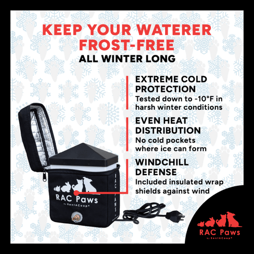 RAC Paws by RentACoop Zero Chill Heated Drinker – 64 oz All-in-One Small Animal Waterer with Heater & Insulated Cover