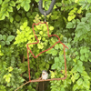 Craft  Swing, Red Bird