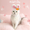 Plush Cartoon Rabbit Ears Cute Pet Headwear