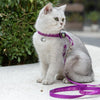 Cat Bell Chest Strap Traction Rope Set