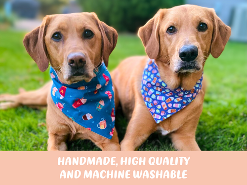 Adventure Dog Bandana