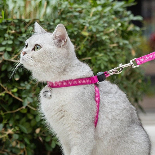 Cat Bell Chest Strap Traction Rope Set