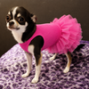 Pet Tutu Dress for Dogs – Ribbed Knit Ballet Puppy Dress with Layered Tulle Skirt, Pink Black Blush Pink Dog Dress for Small Dogs