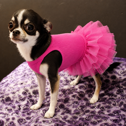 Pet Tutu Dress for Dogs – Ribbed Knit Ballet Puppy Dress with Layered Tulle Skirt, Pink Black Blush Pink Dog Dress for Small Dogs