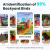 Birdfy Feeder - Smart Bird Feeder with Camera Standard Kit