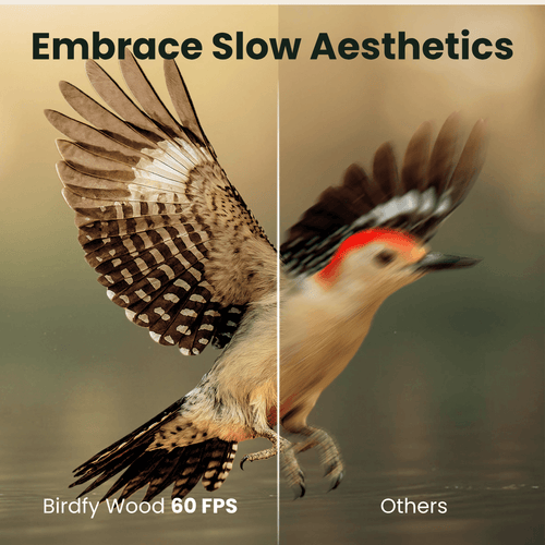 Birdfy Feeder Wood - Wooden Smart Bird Feeder with Camera