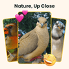 Birdfy Feeder Wood - Wooden Smart Bird Feeder with Camera