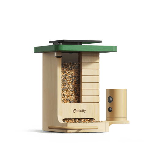 Birdfy Feeder Wood - Wooden Smart Bird Feeder with Camera