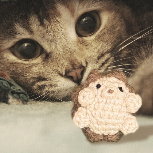 Handmade Catnip Toy | Harold the Hedgehog – A Chunkle Puff Infused with Miracle Nip Botanicals