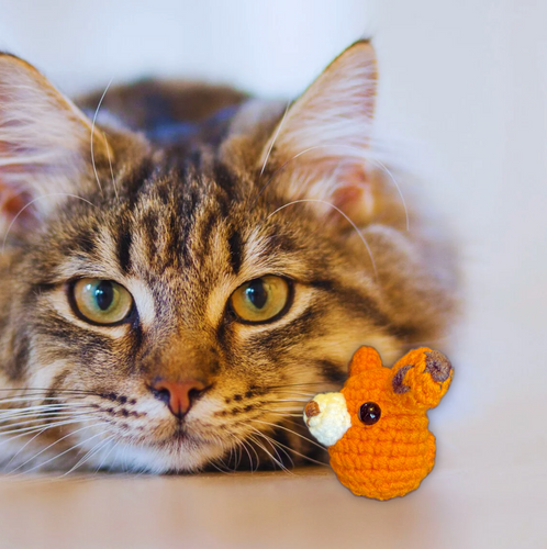 Handmade Catnip Toy | TJ the Fox Chunkle Puff Infused with Miracle Nip Botanicals