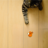 Handmade Catnip Toy | TJ the Fox Chunkle Puff Infused with Miracle Nip Botanicals