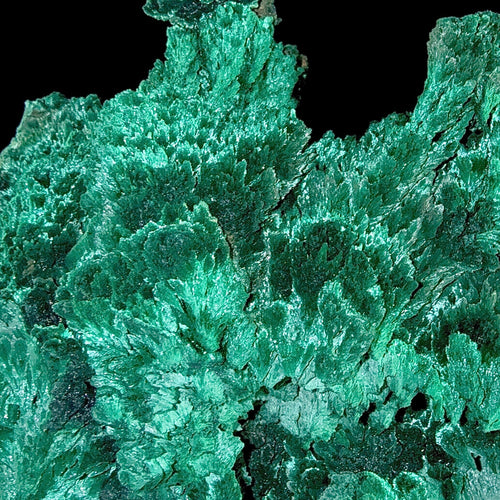 Fibrous Malachite | SELF STANDING | High Quality Mineral | Superb Minerals | Fine Minerals